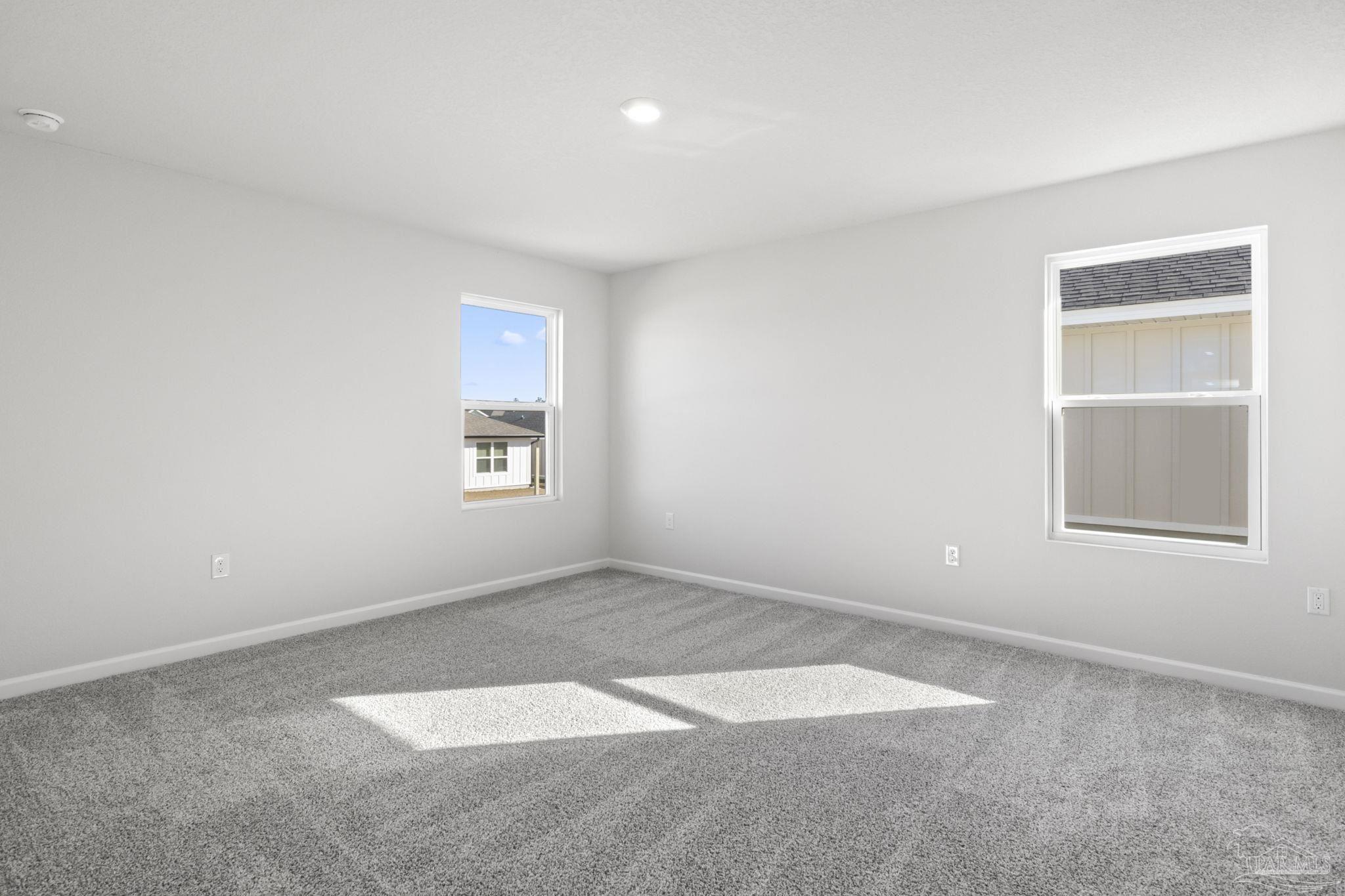 2018 Limpkin St