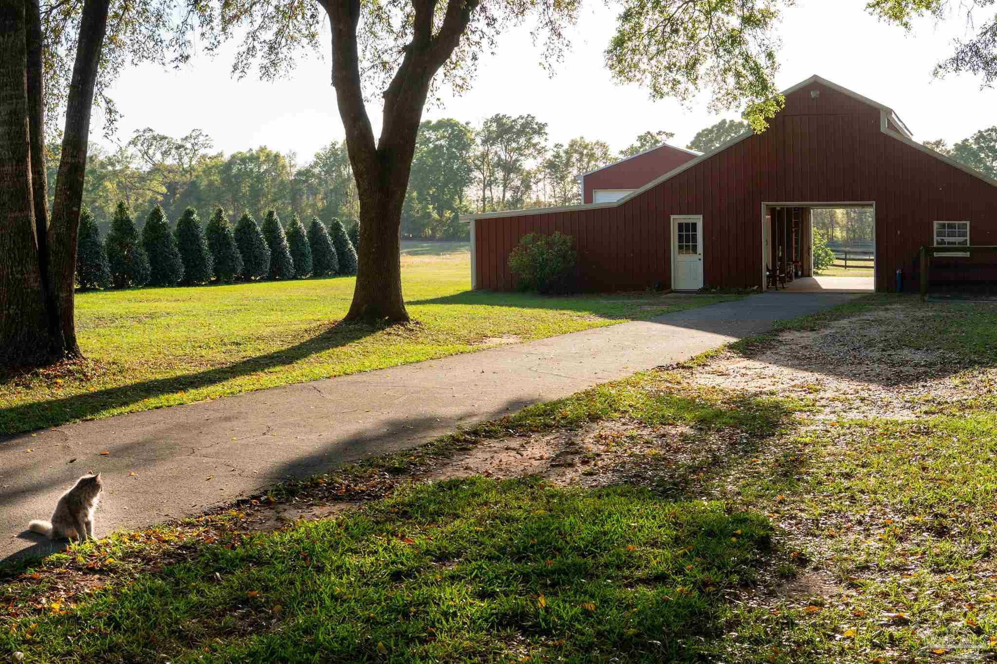 457 Jimmy Lewis Rd