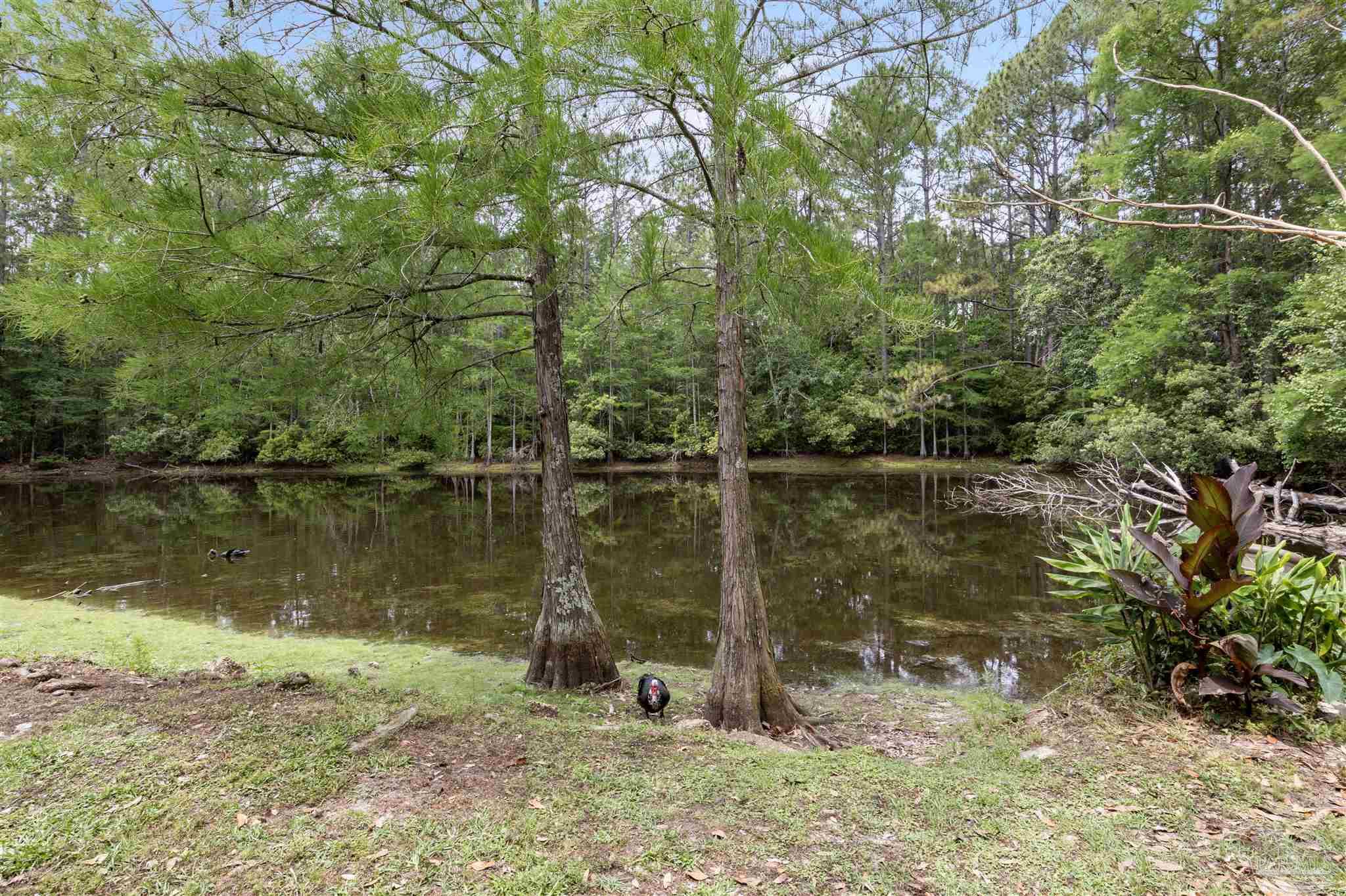 7223 Lago Vista Ct