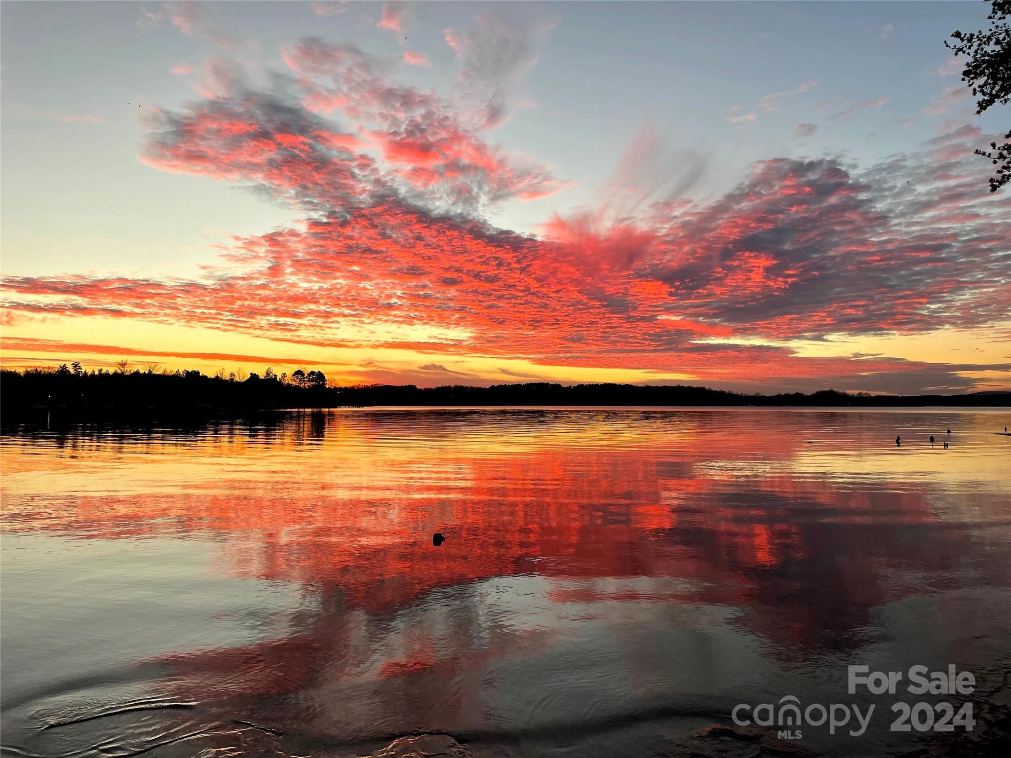 109 Deacons Pond Court