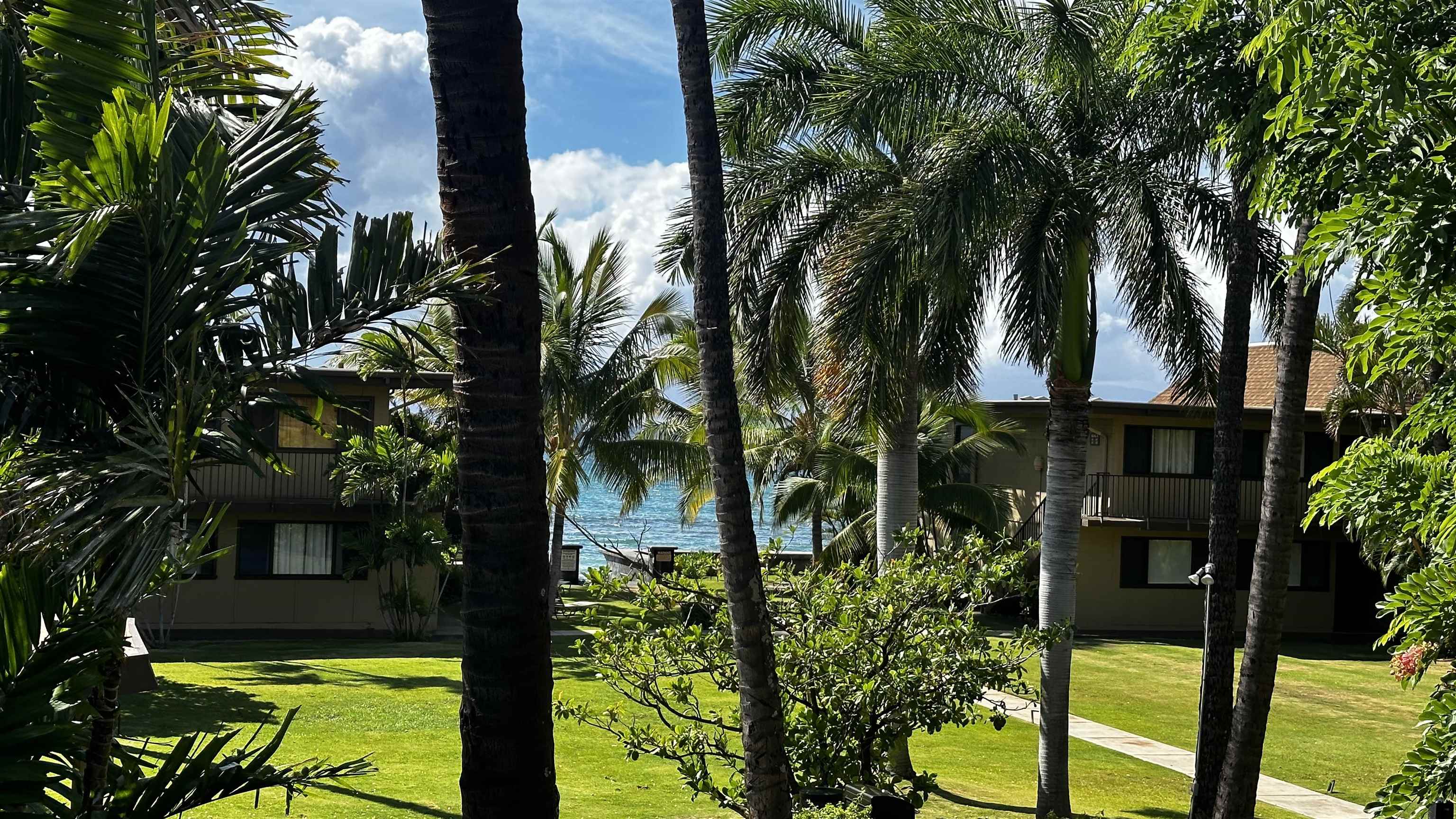3559 Lower Honoapiilani Rd Unit: 6G