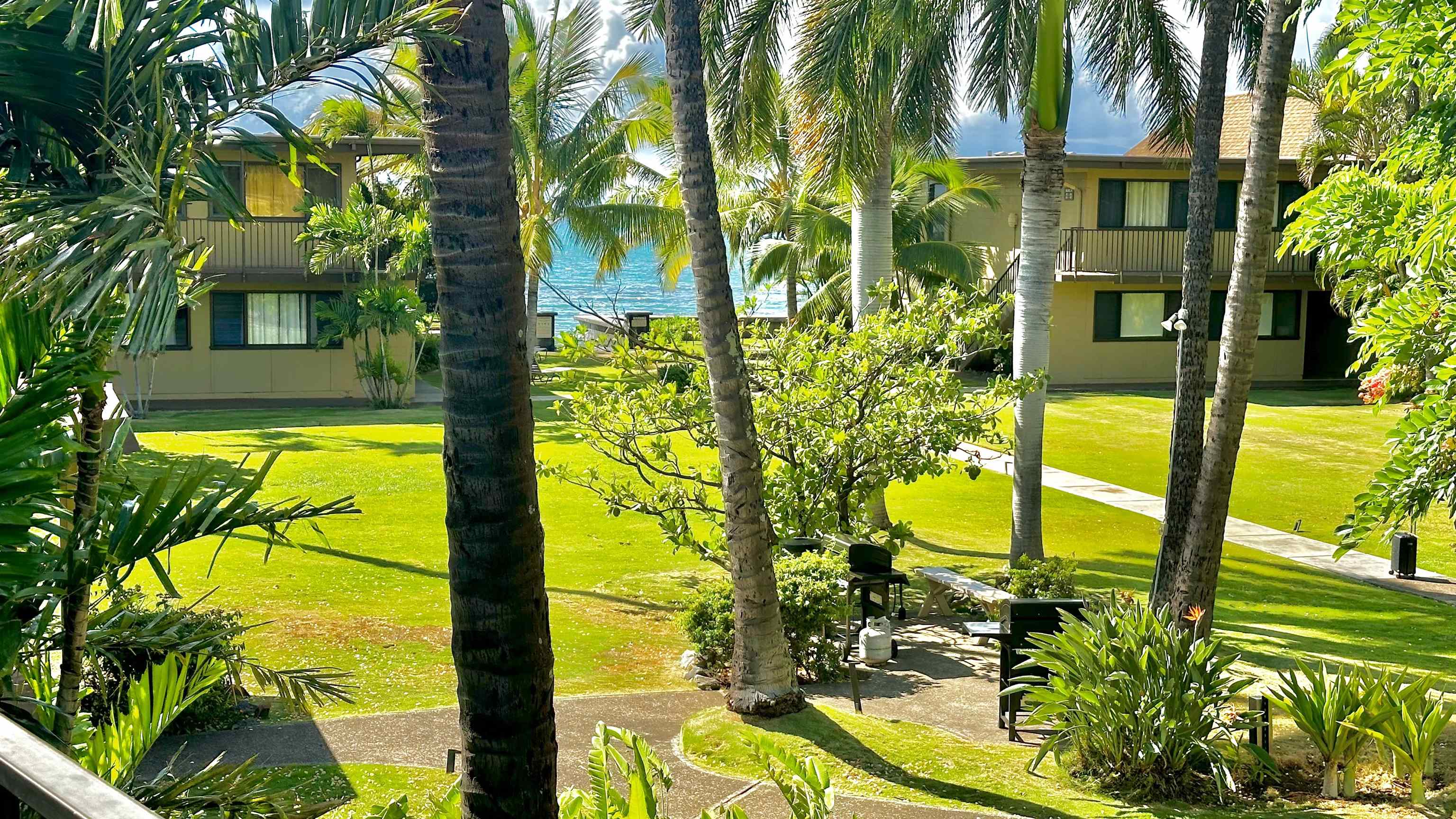 3559 Lower Honoapiilani Rd Unit: 6G