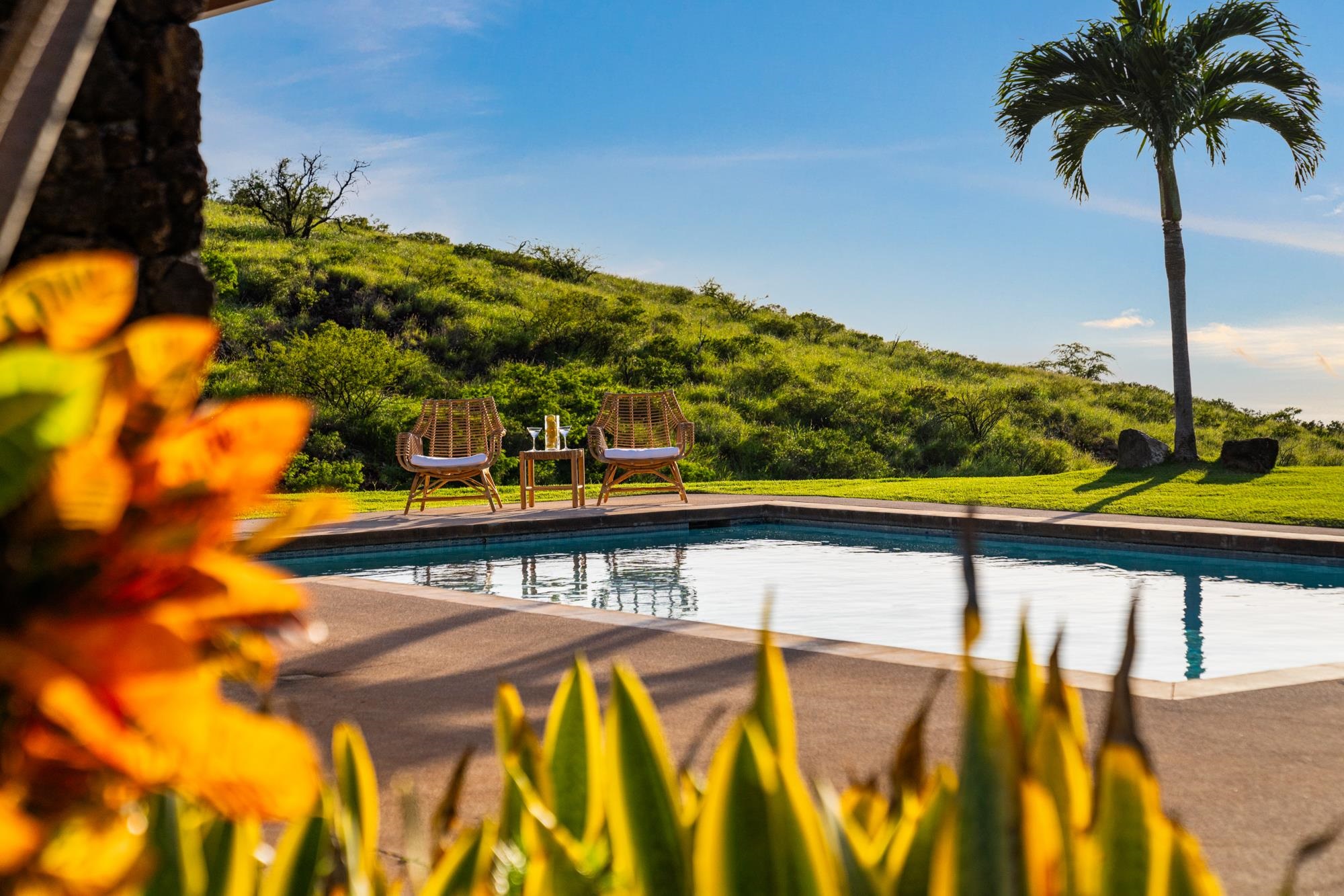 Outdoor pool with wicker lounge chairs, a palm tree, and a lush hillside.
