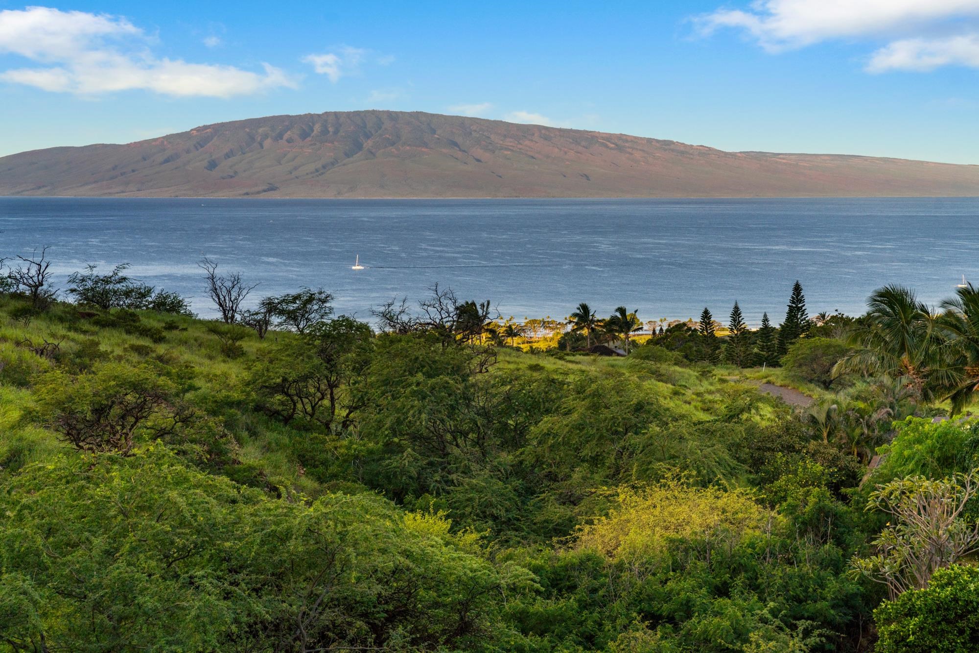 Panoramic ocean and mountain view beyond lush tropical greenery, with sailboats offshore.