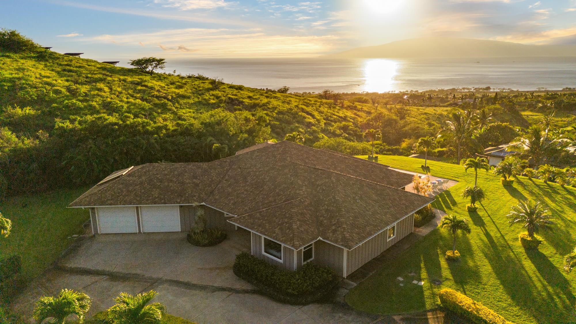 Aerial view of a house and palm-lined lawn overlooking the sunlit ocean.