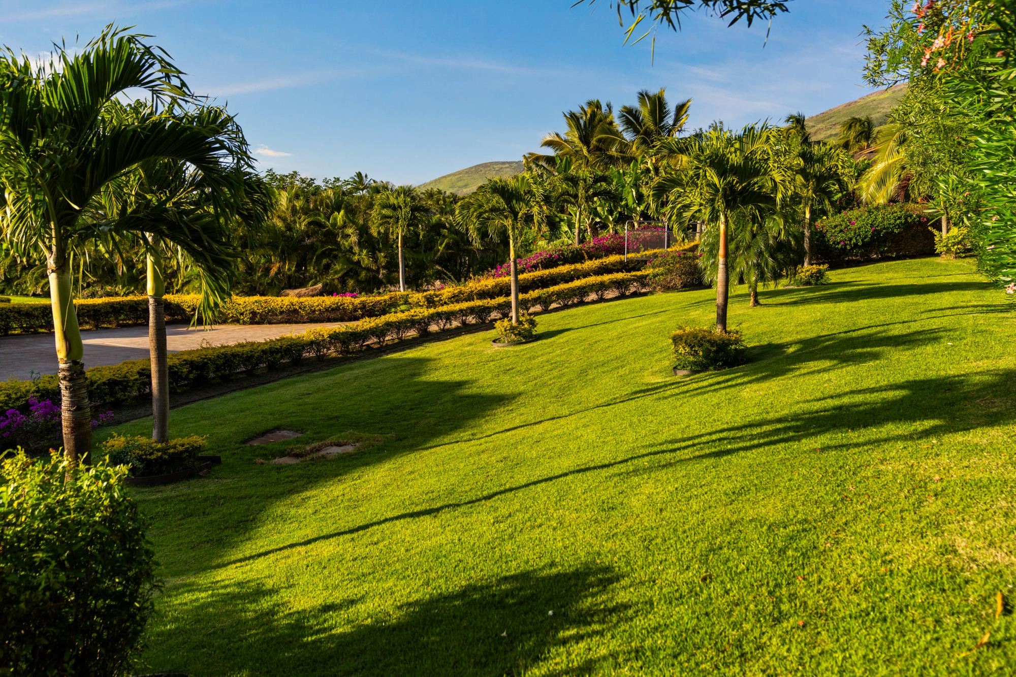 Landscaped grounds with a sloping lawn, palm trees, colorful hedges, and a distant hillside.