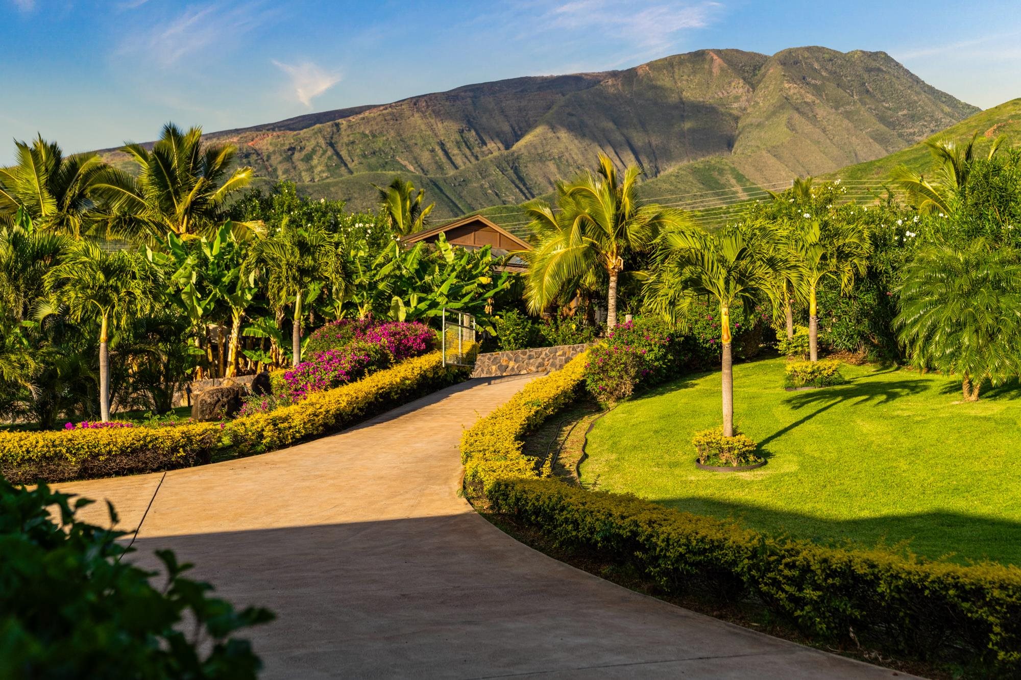 Curving driveway through palm-filled grounds, with flowering hedges and mountains behind the home.