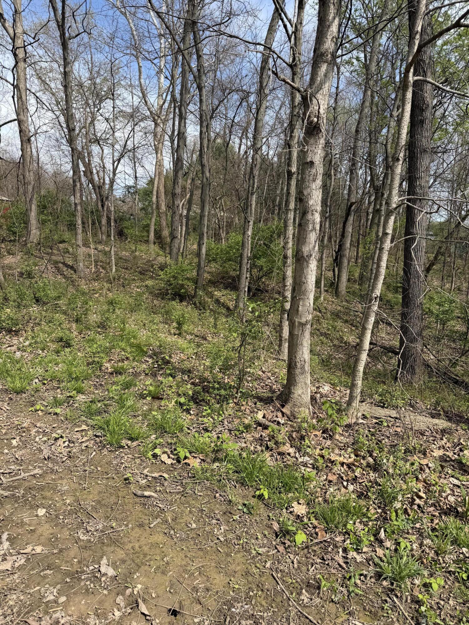 16145 Lebanon Crittenden Road