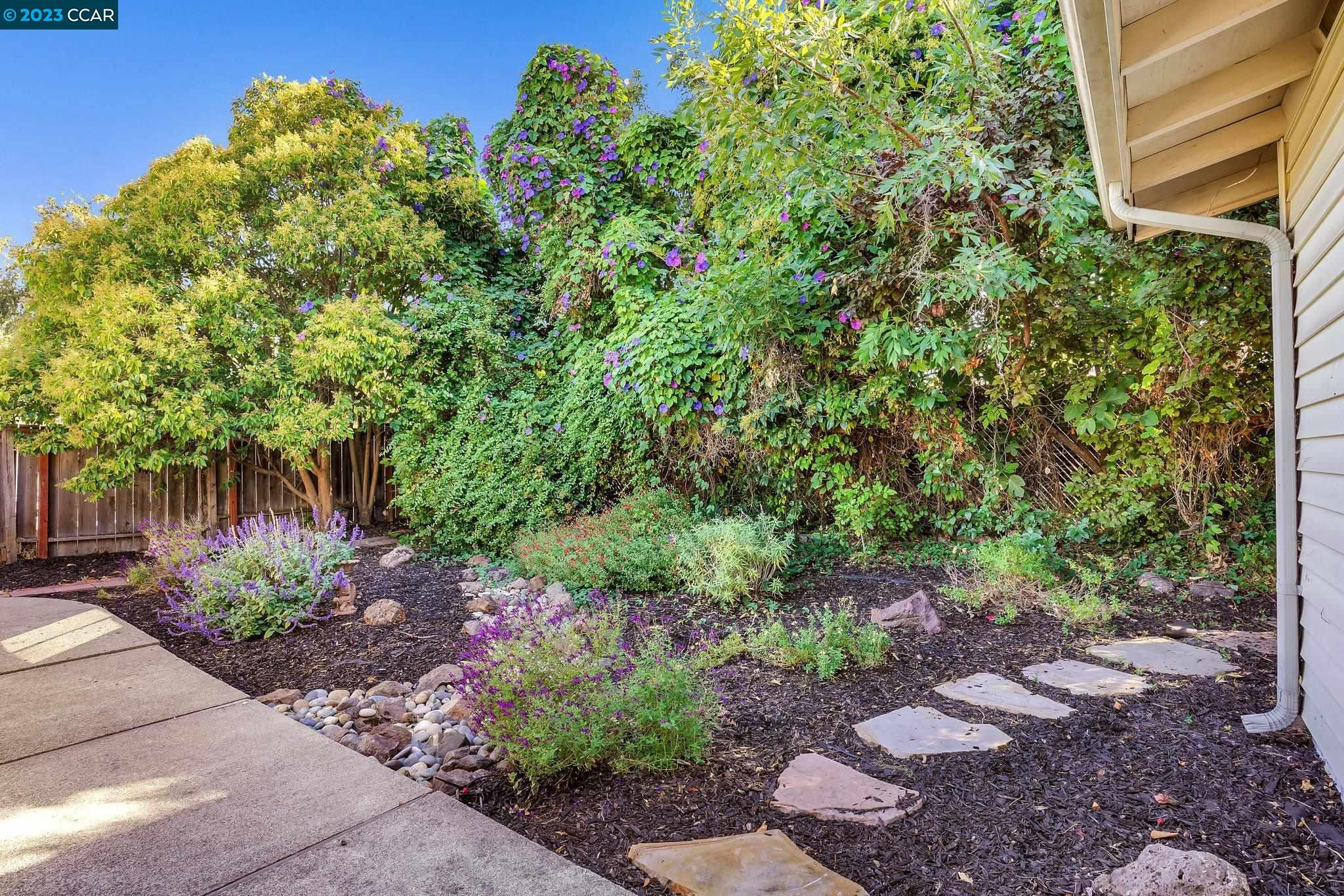 3336 Woodhaven Ln