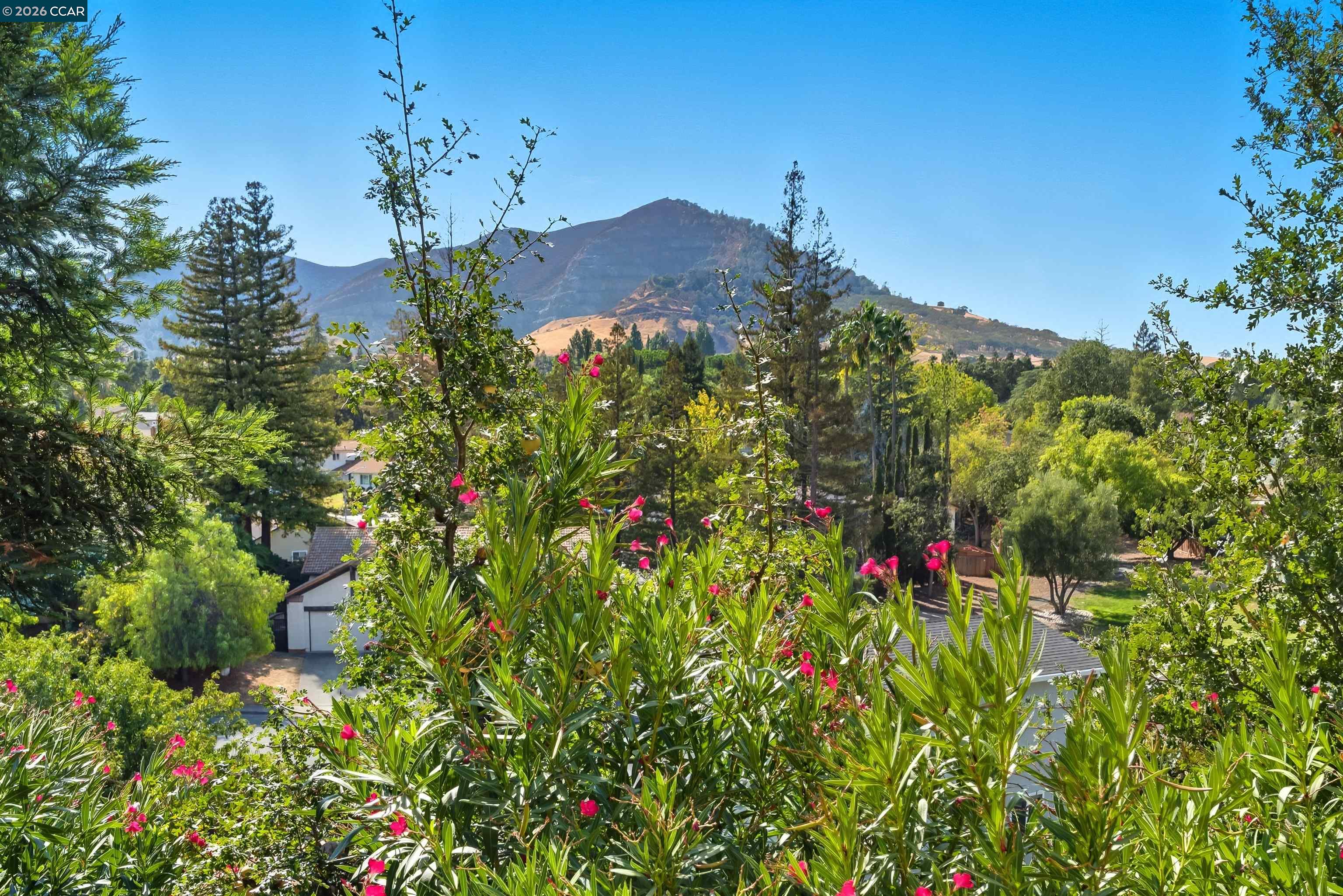 23 Mt Wilson Way