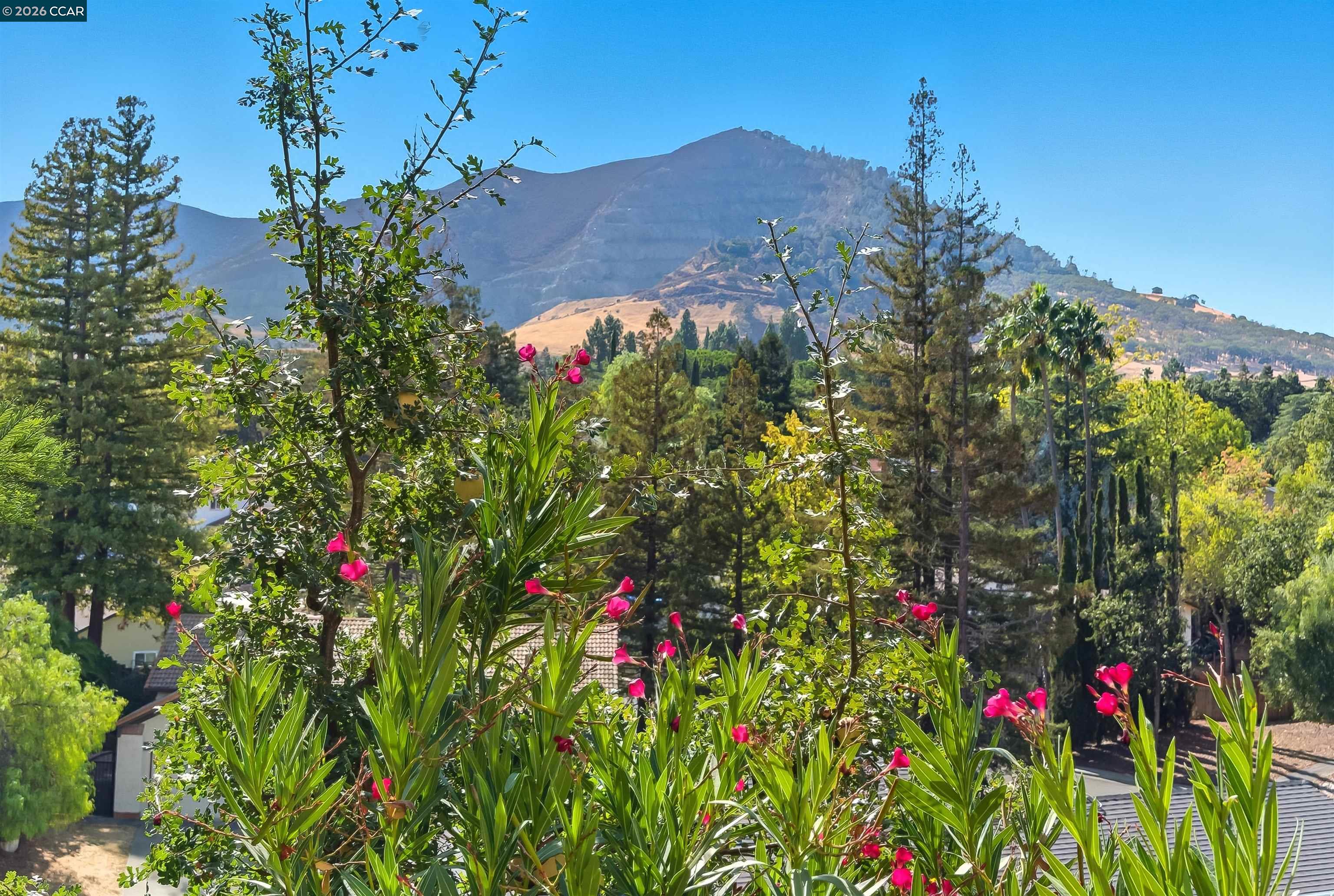 23 Mt Wilson Way