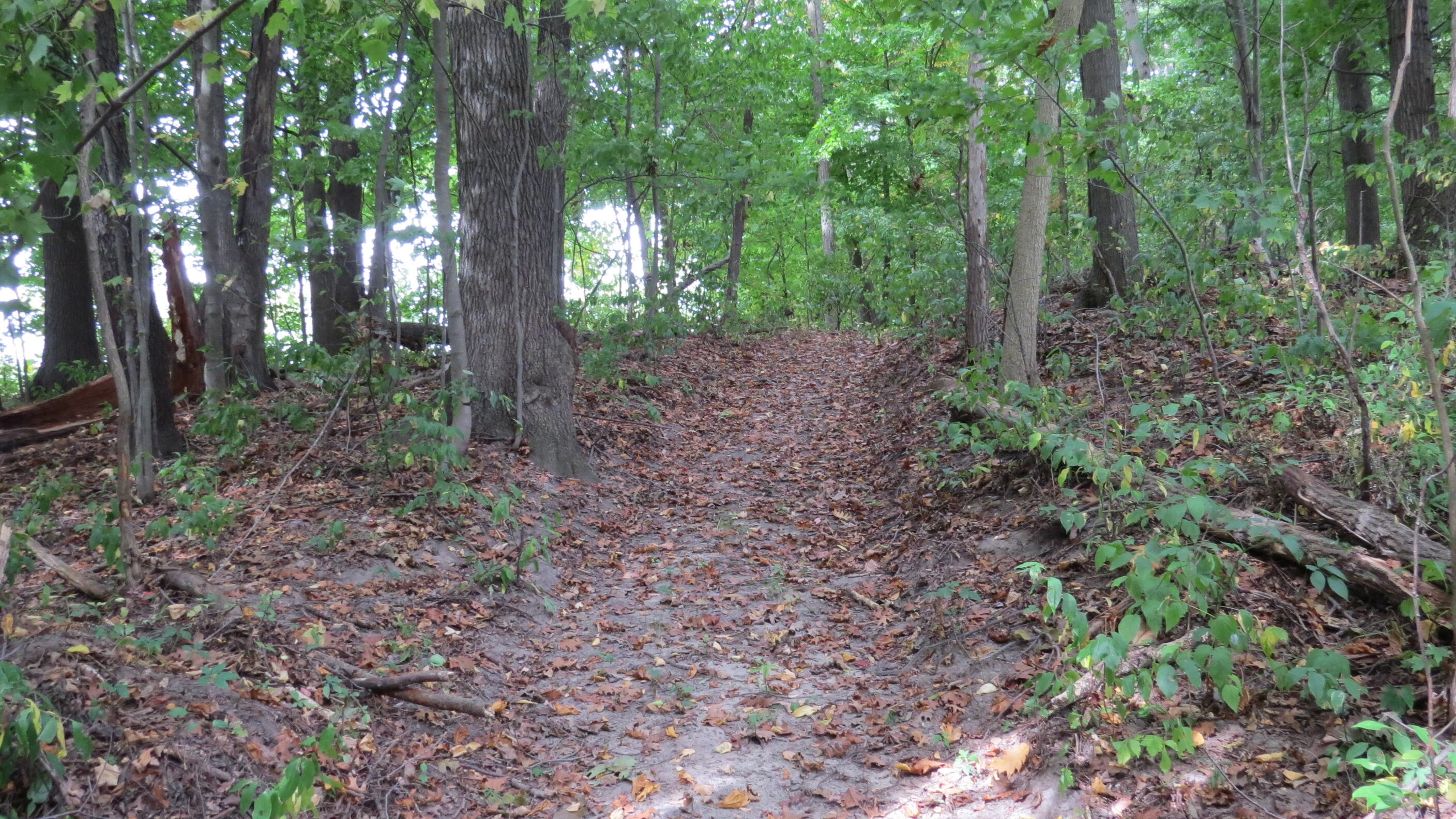 5882 Mullen Ridge Drive