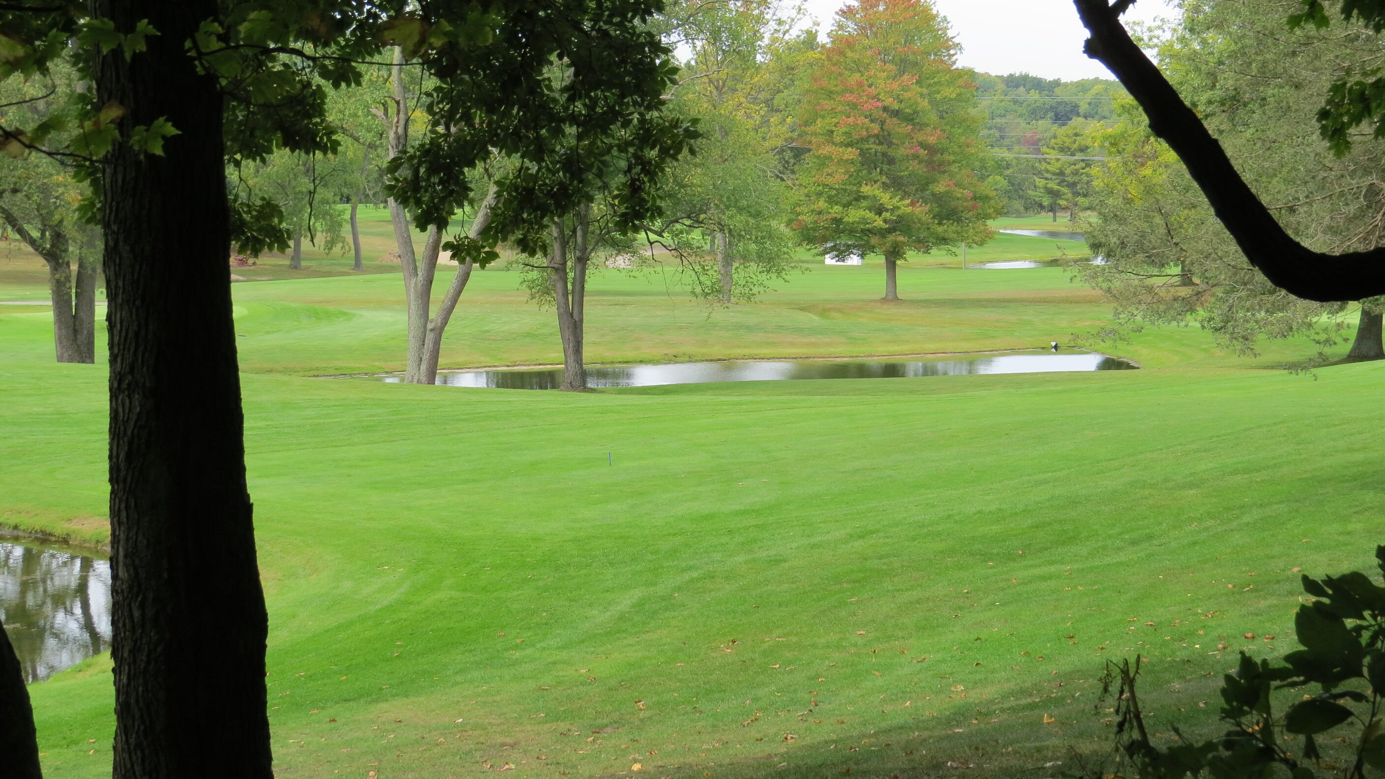 5882 Mullen Ridge Drive