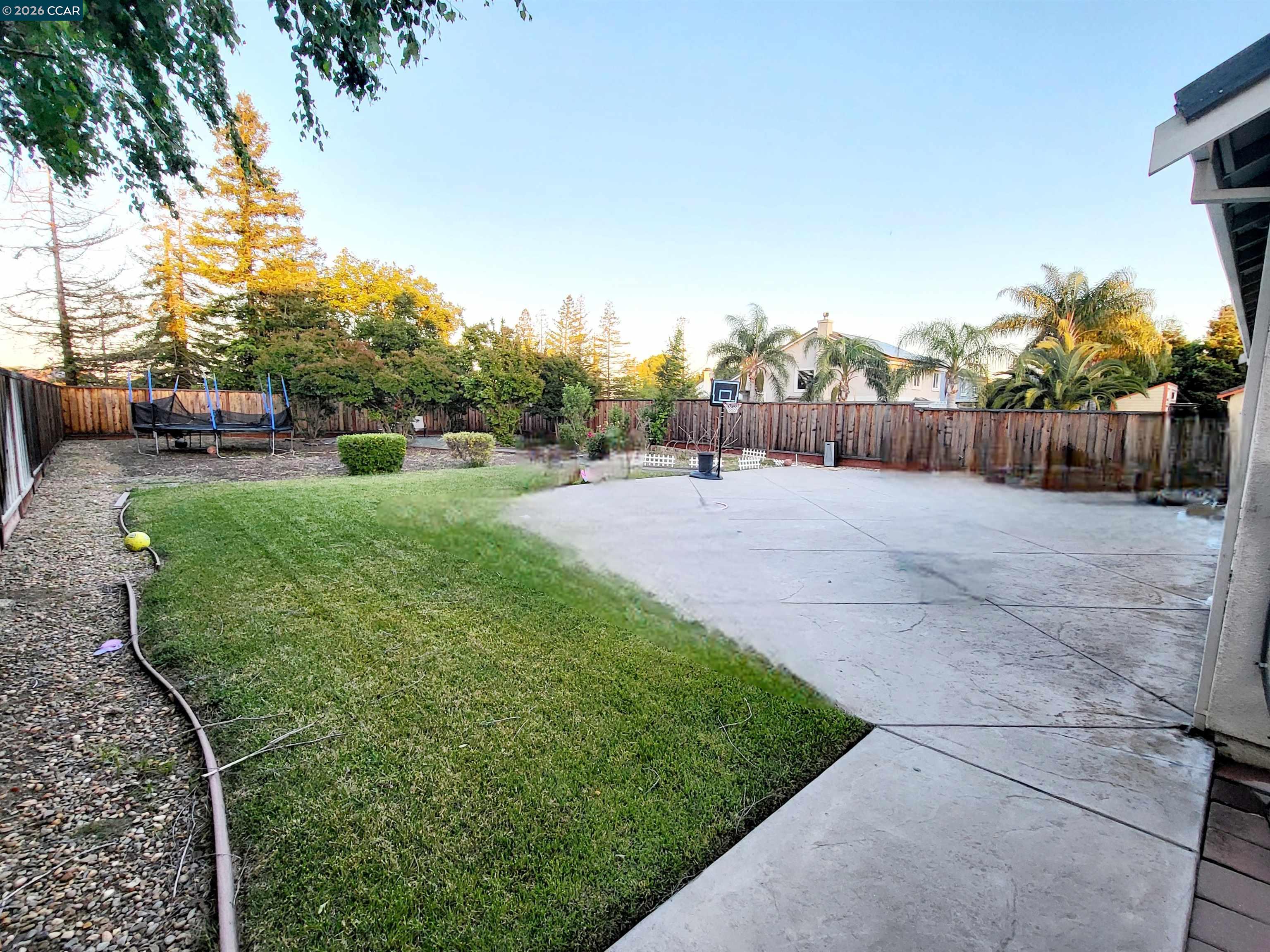 977 Chamomile Ln