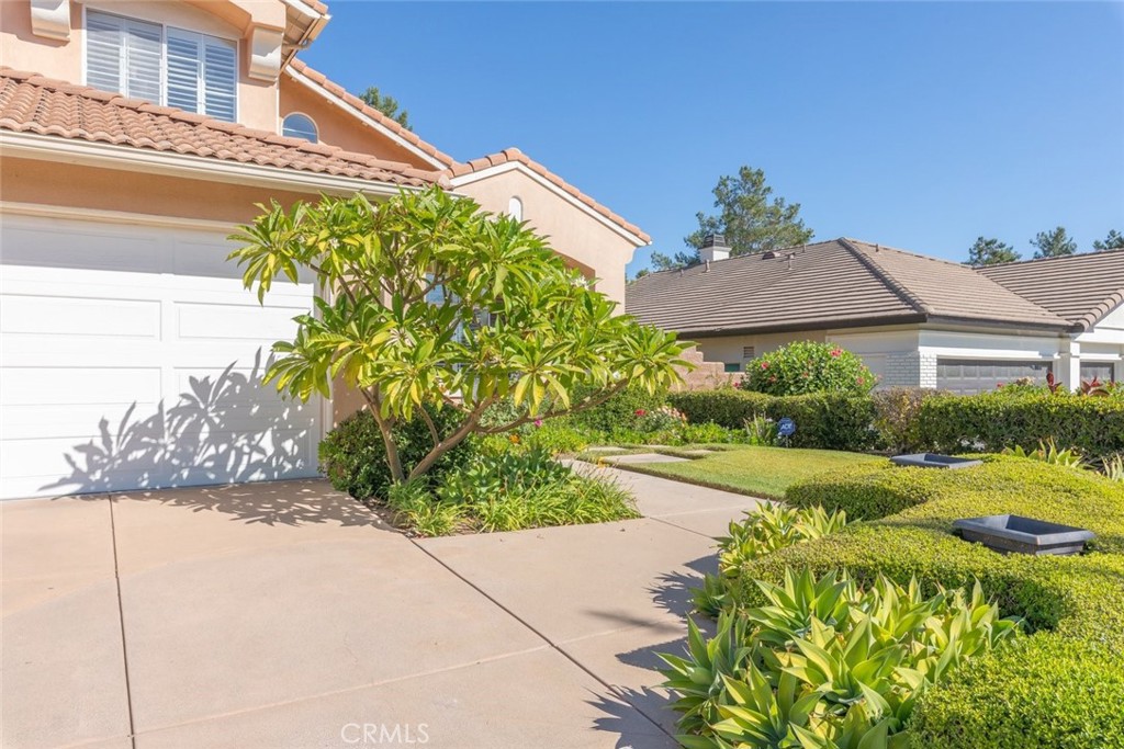 1523 White Holly Drive