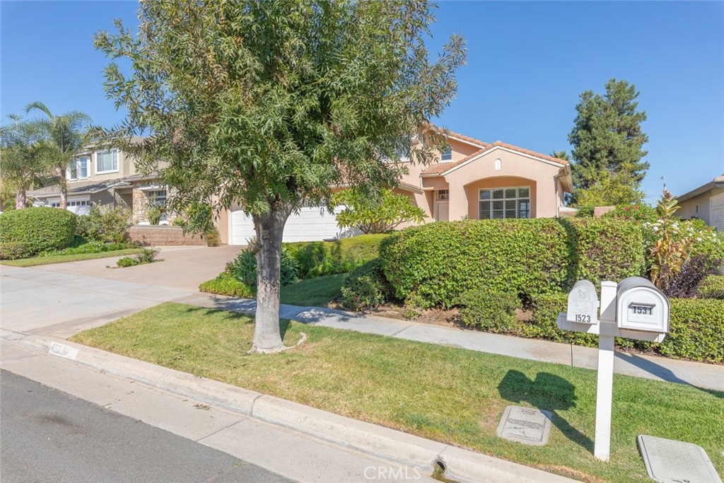 1523 White Holly Drive