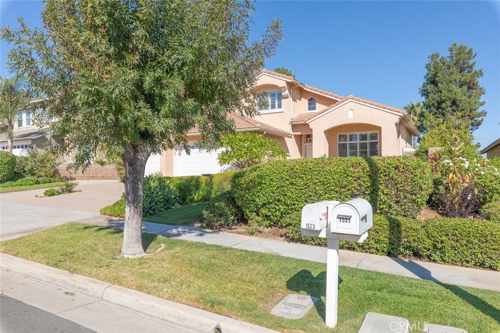 1523 White Holly Drive