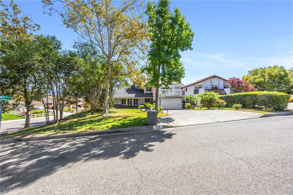 7729 Calle Bresca