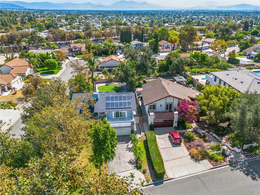 7729 Calle Bresca