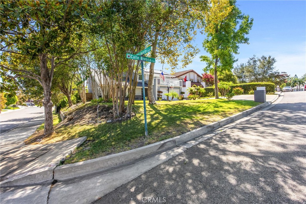 7729 Calle Bresca