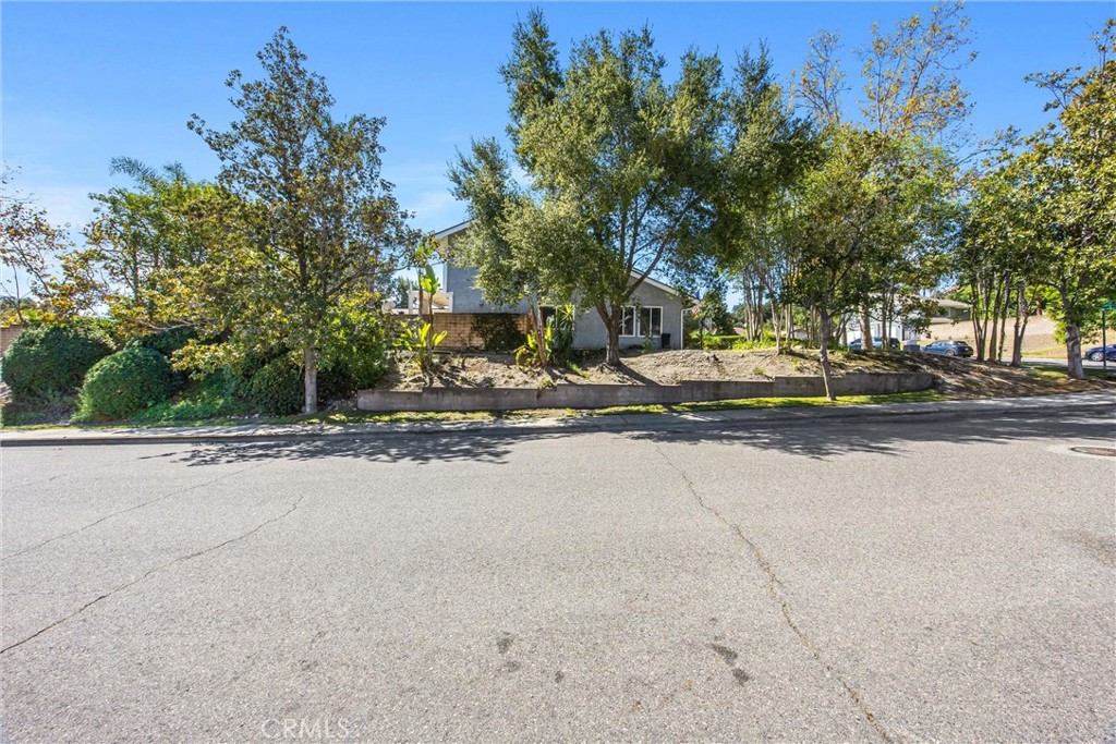 7729 Calle Bresca