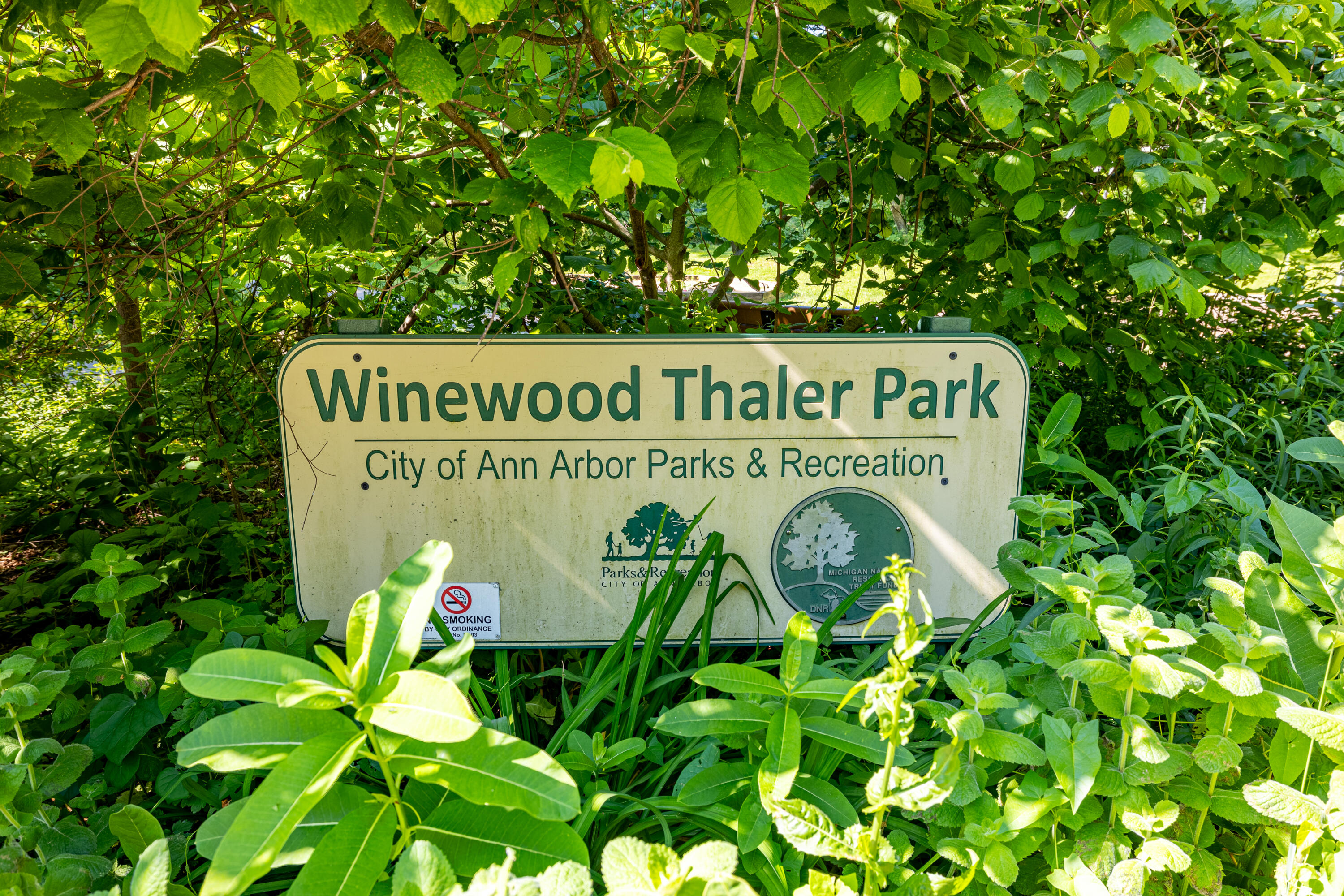 2104 Winewood Avenue