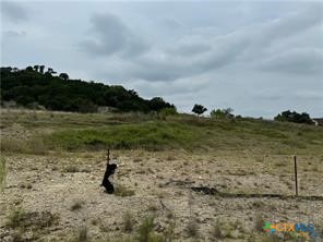 3423 Shoreline Drive