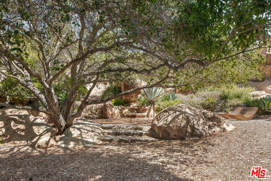 Landscaped rocky yard with a sprawling shade tree, stone steps, succulents, and lounge chairs.