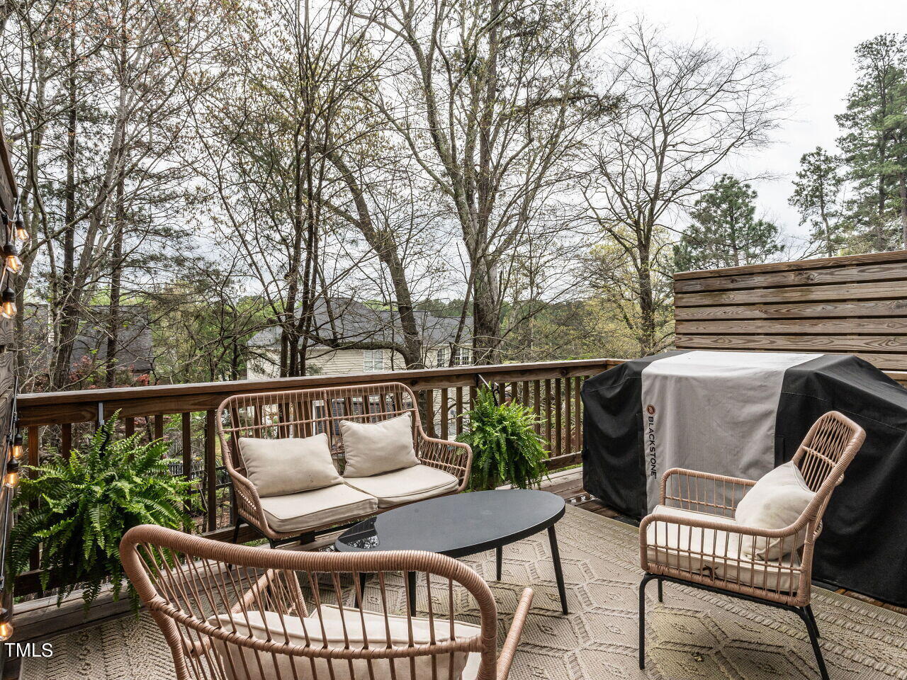 1106 Kiernan Grove Lane