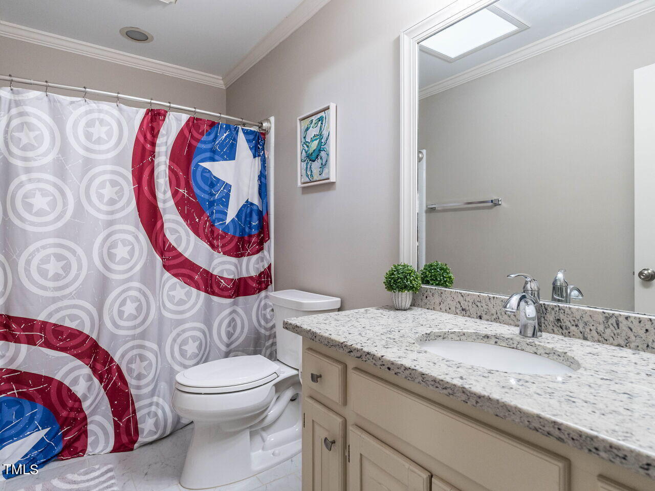 Bathroom with granite vanity, large mirror, and red, white, and blue star-patterned shower curtain.