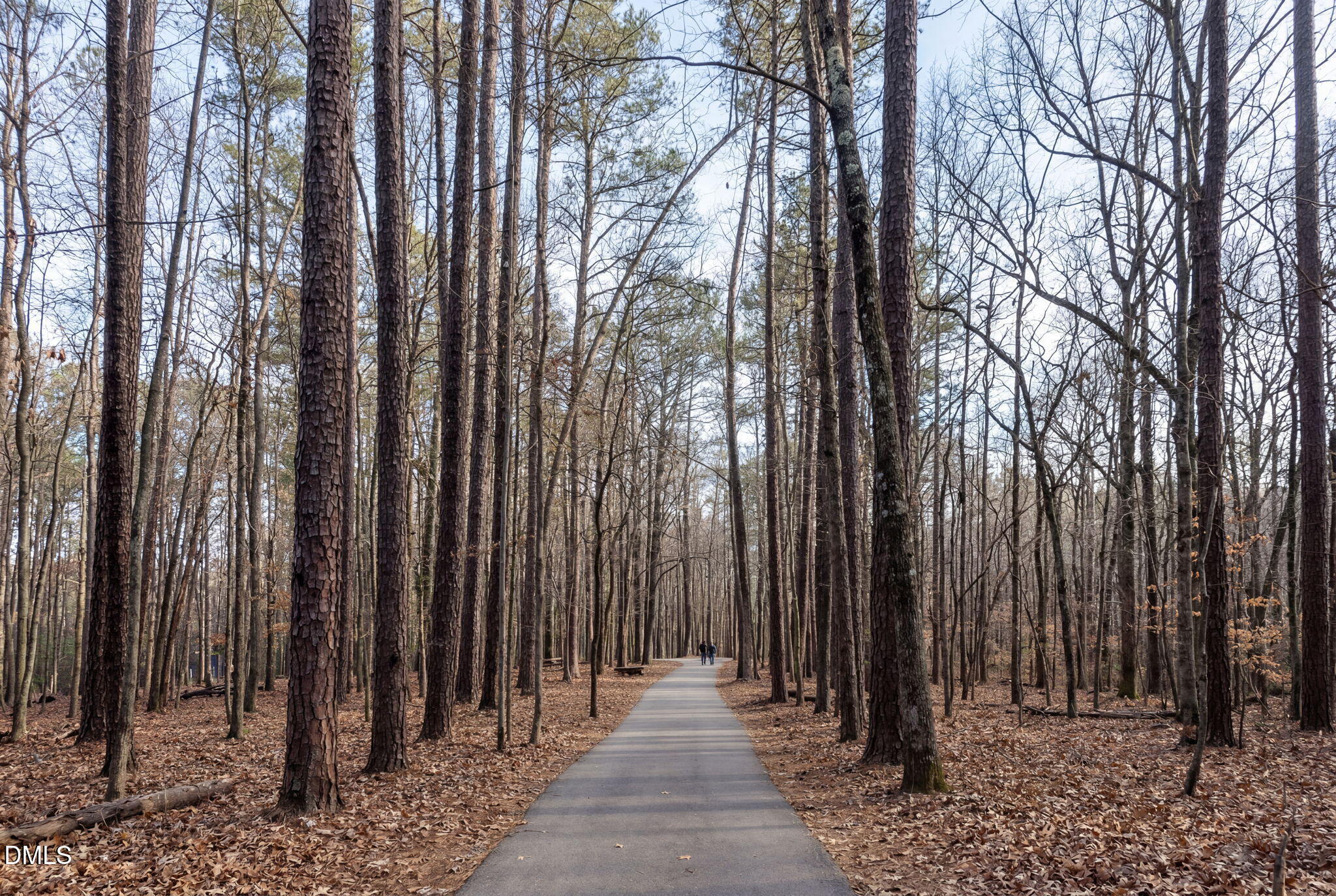 3604 Nightfall Court