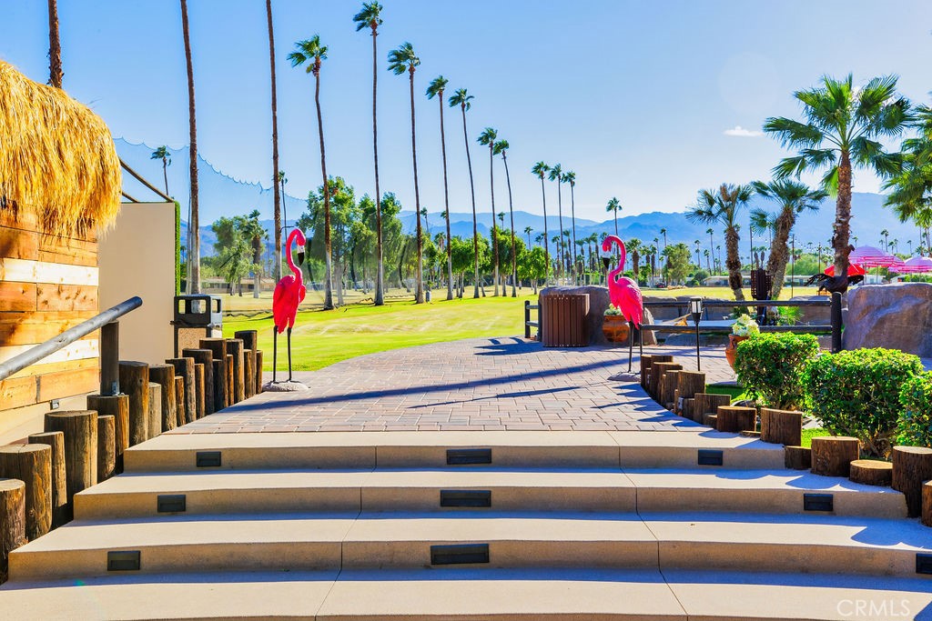 73700 Grapevine Street 6