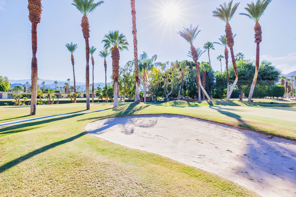 73700 Grapevine Street 6