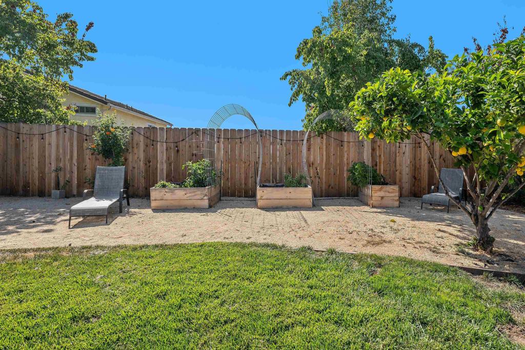 1556 Whispering Palm