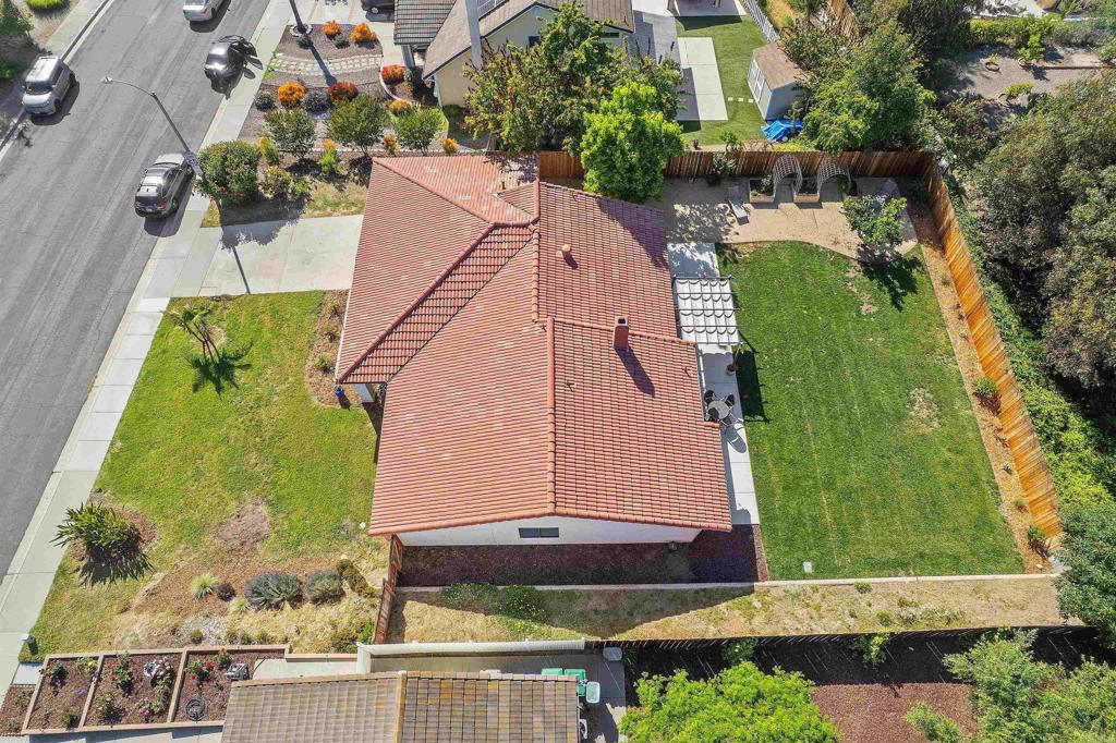 1556 Whispering Palm