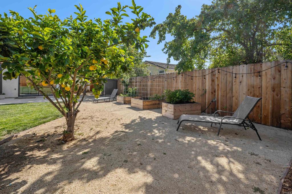 1556 Whispering Palm