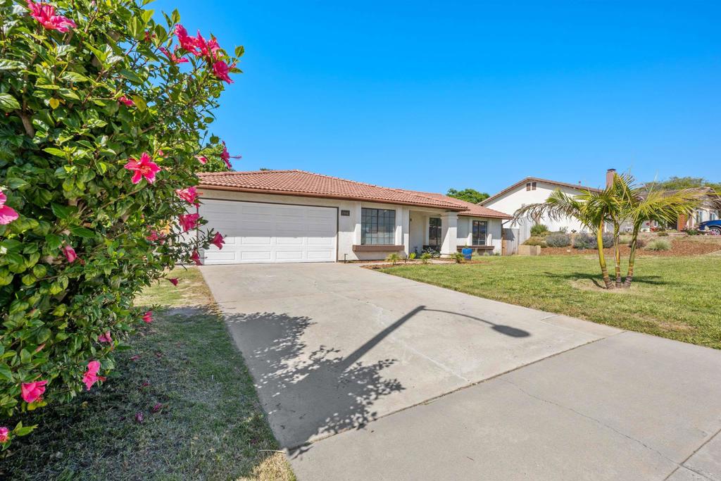 1556 Whispering Palm