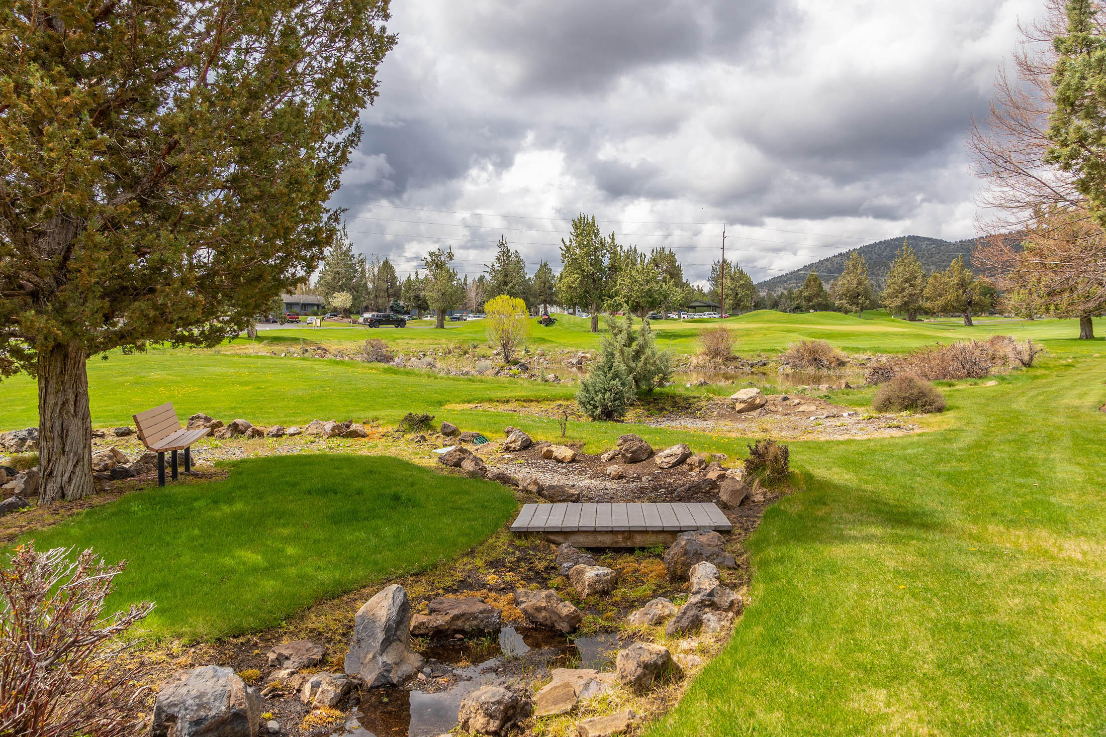 1141 Golden Pheasant Drive