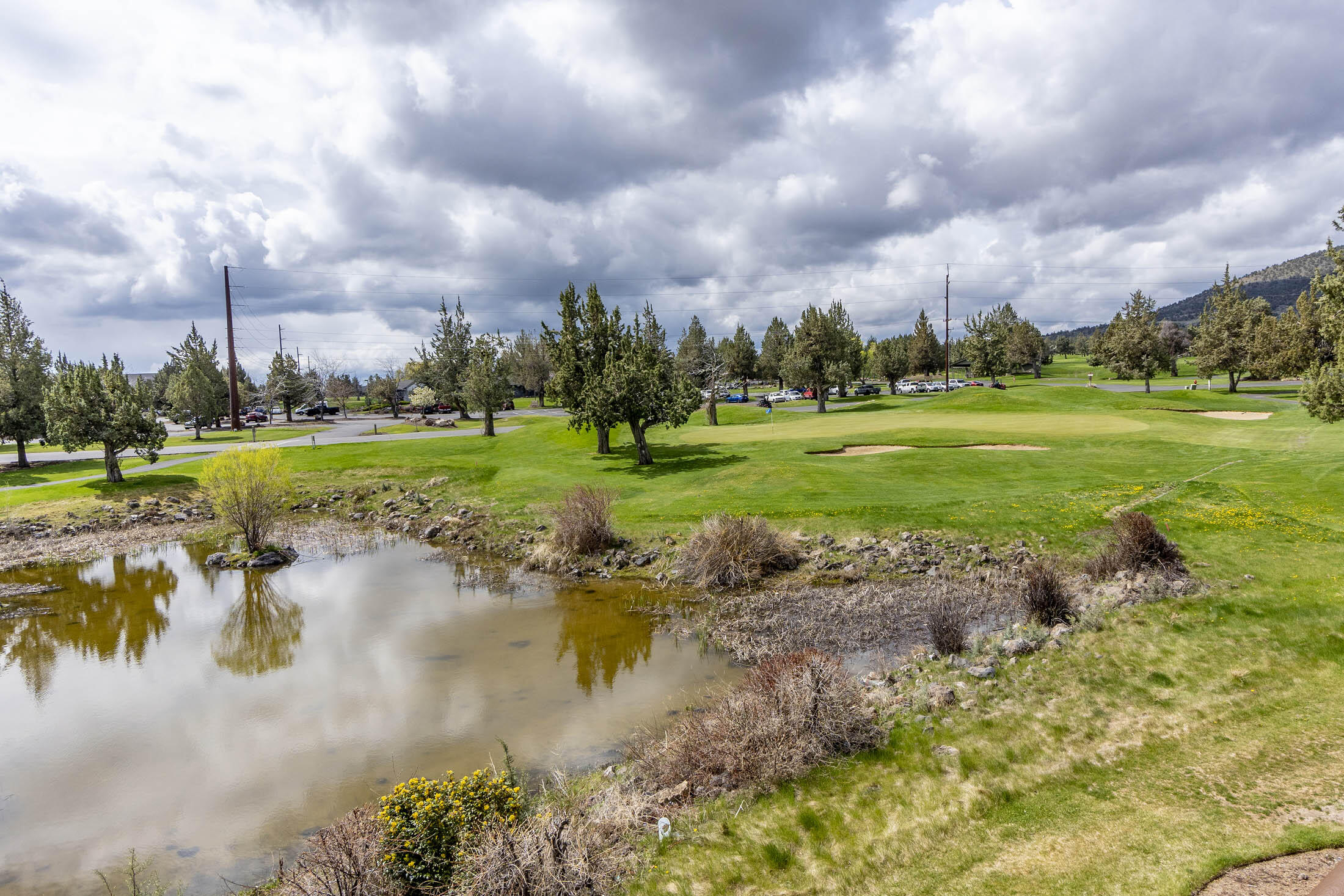 1141 Golden Pheasant Drive
