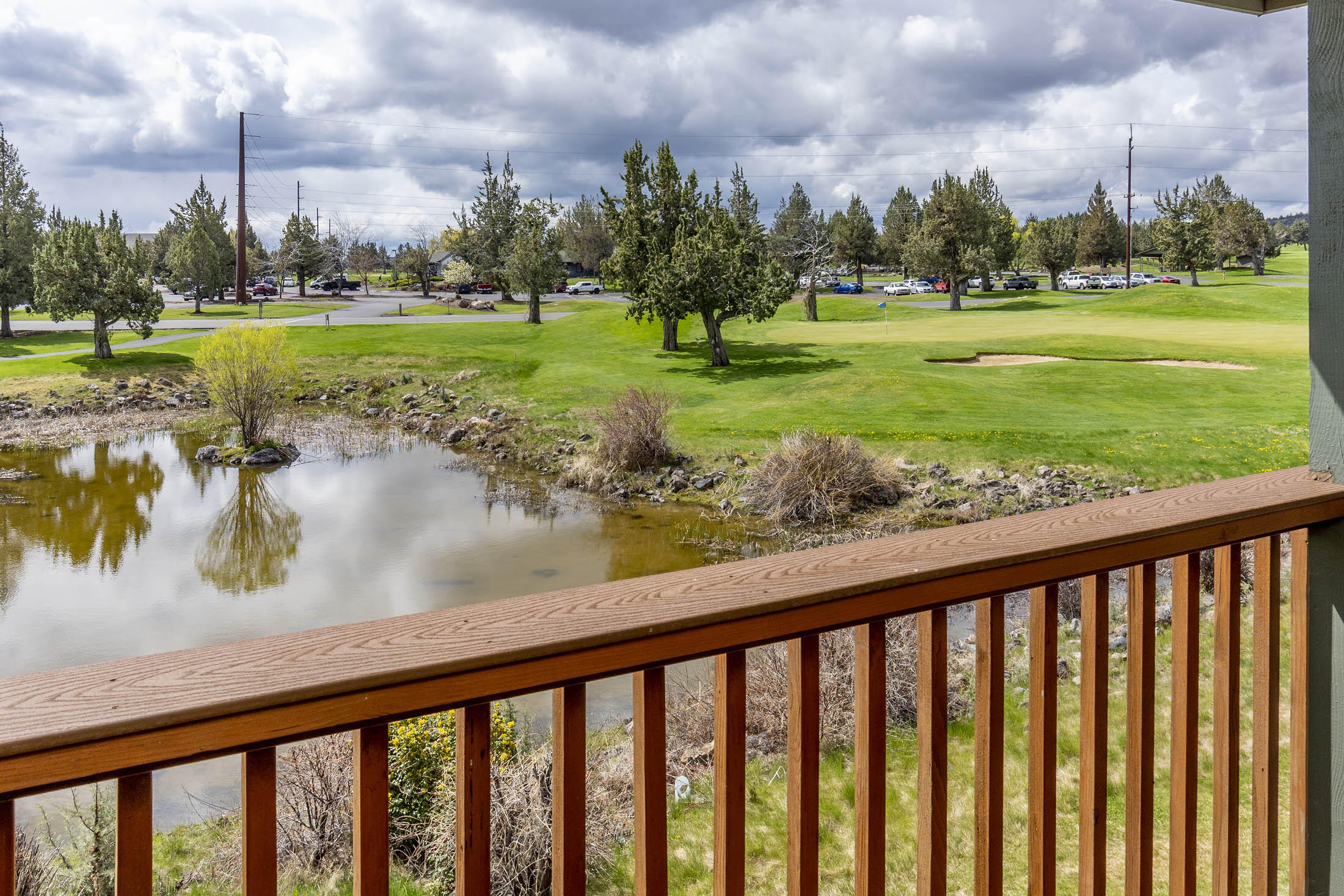 1141 Golden Pheasant Drive