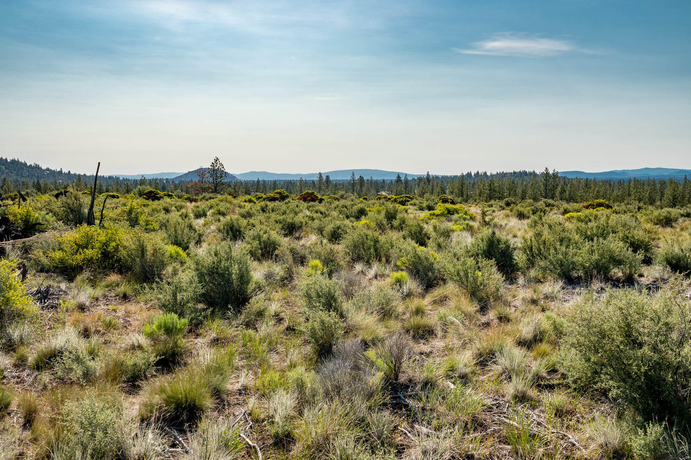 19051 Horizon View Drive Unit: 83