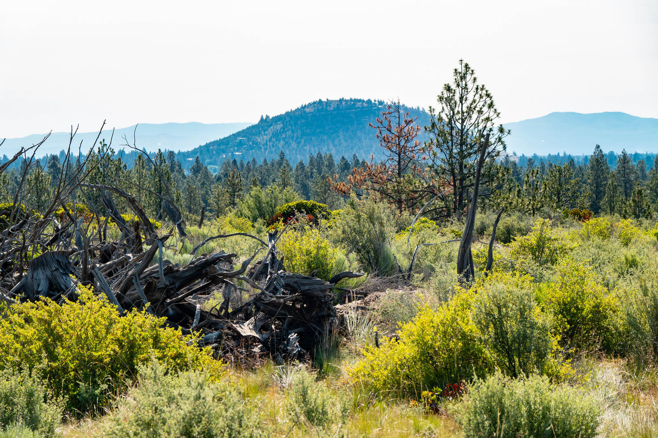 19051 Horizon View Drive Unit: 83