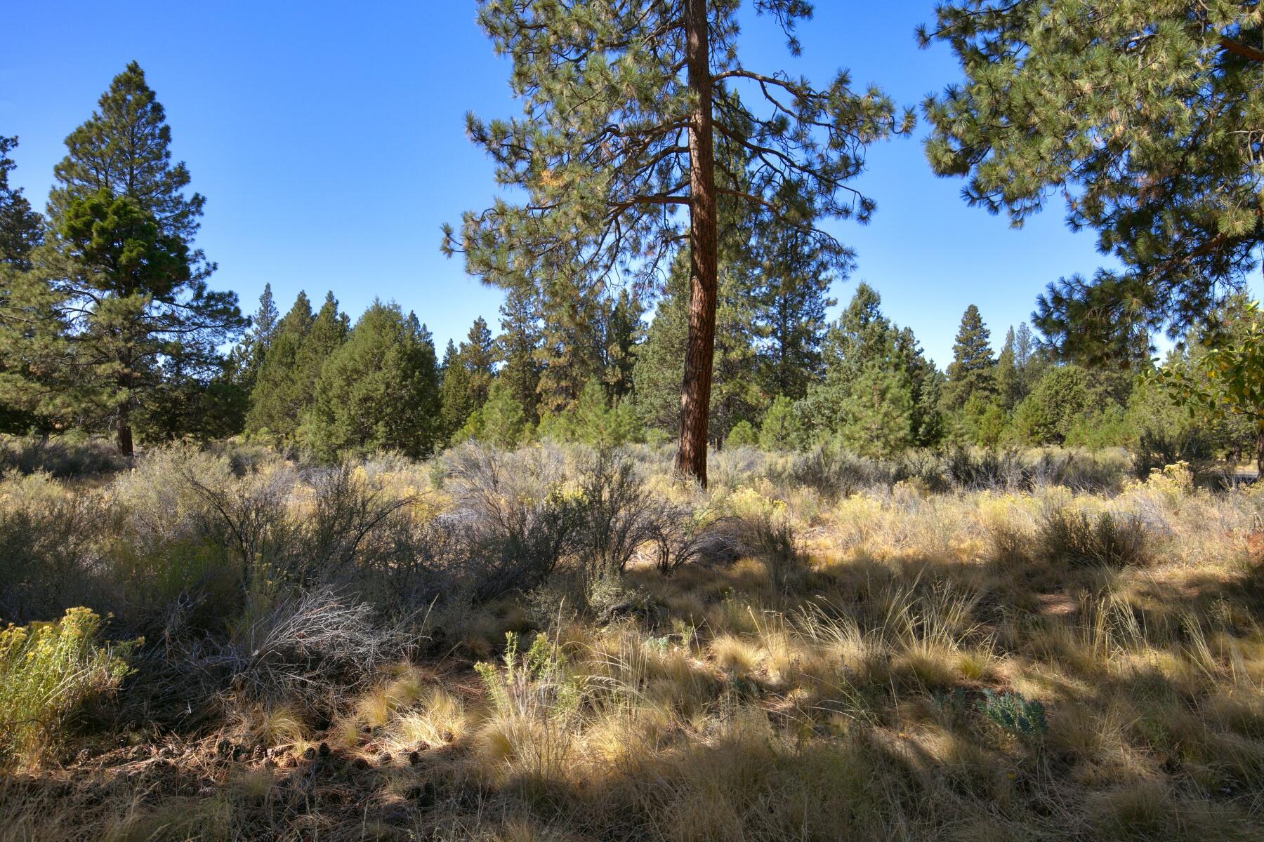 19501 Todd Lake Court