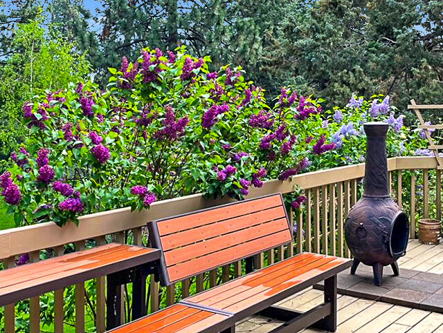 20486 Powder Mountain Court