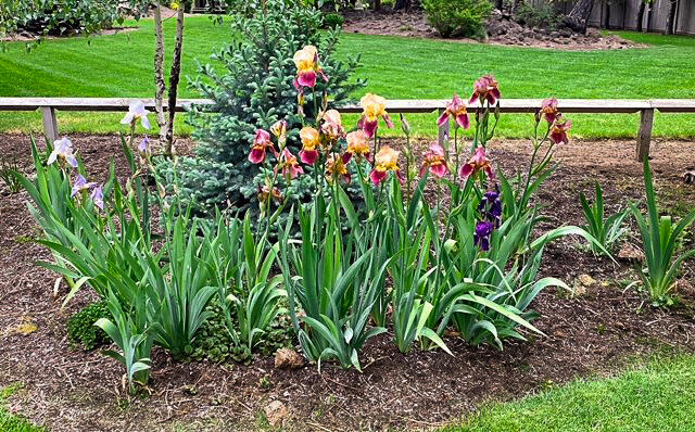 20486 Powder Mountain Court