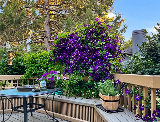 20486 Powder Mountain Court