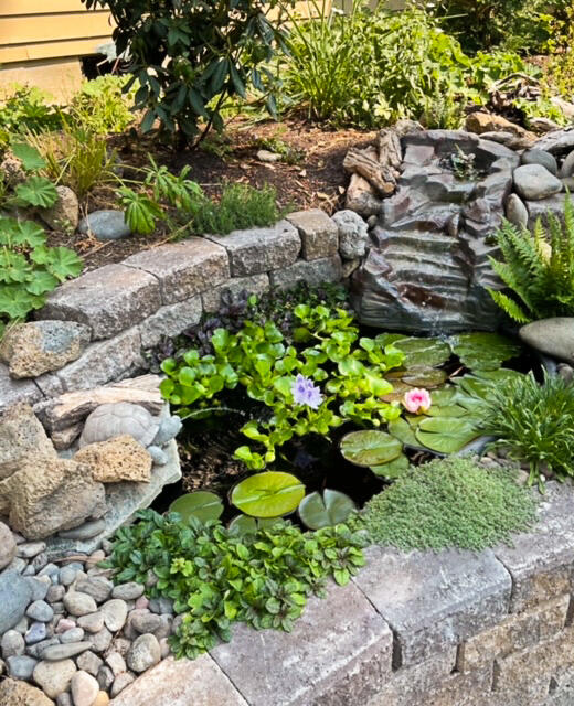 20486 Powder Mountain Court