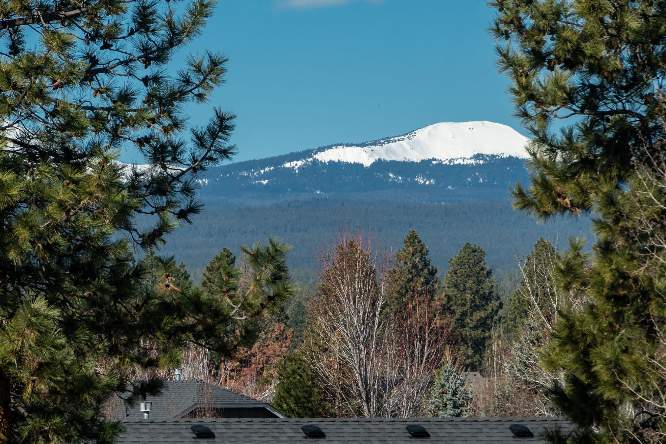 60923 Zircon Drive