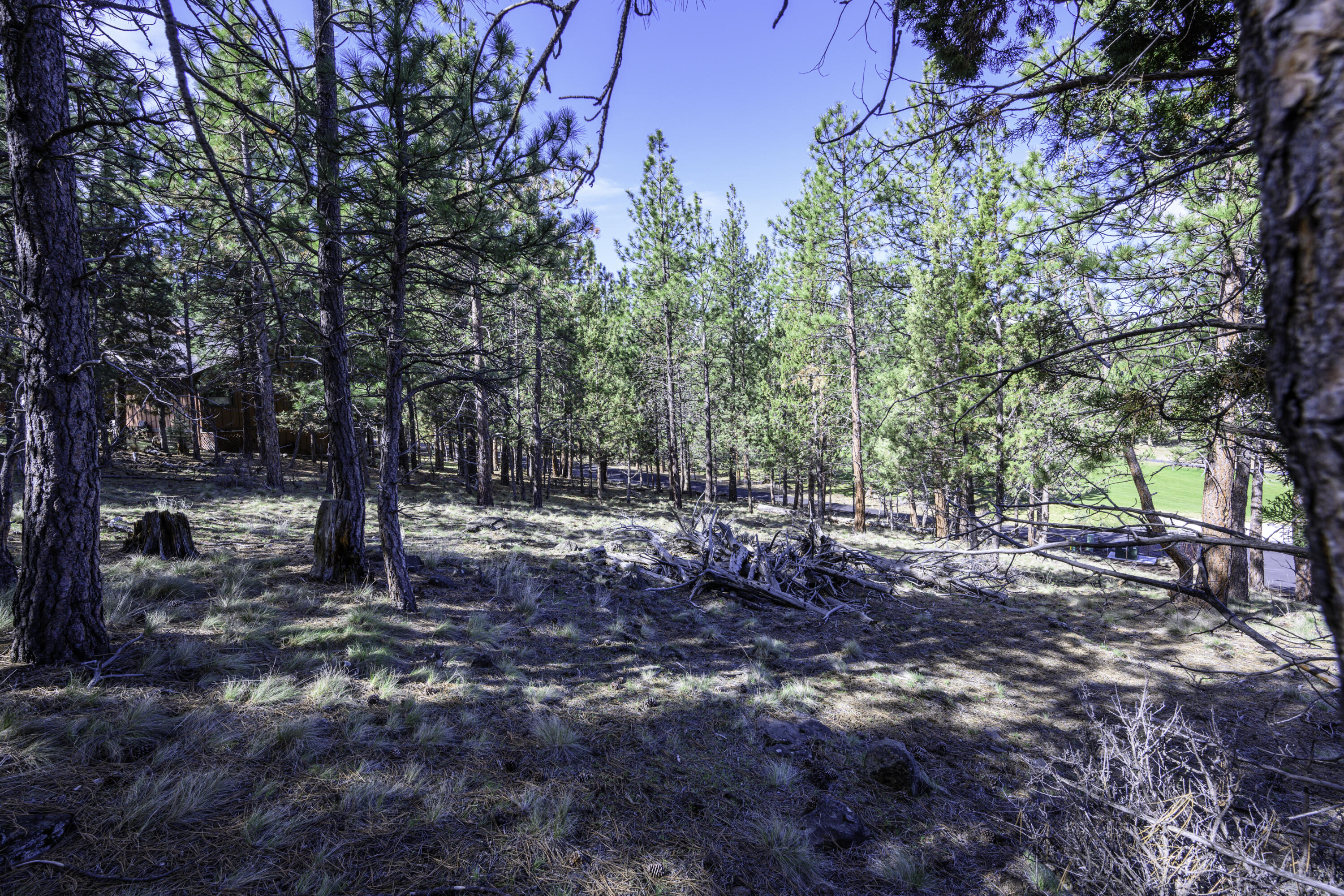 2638 NW Runyun Court