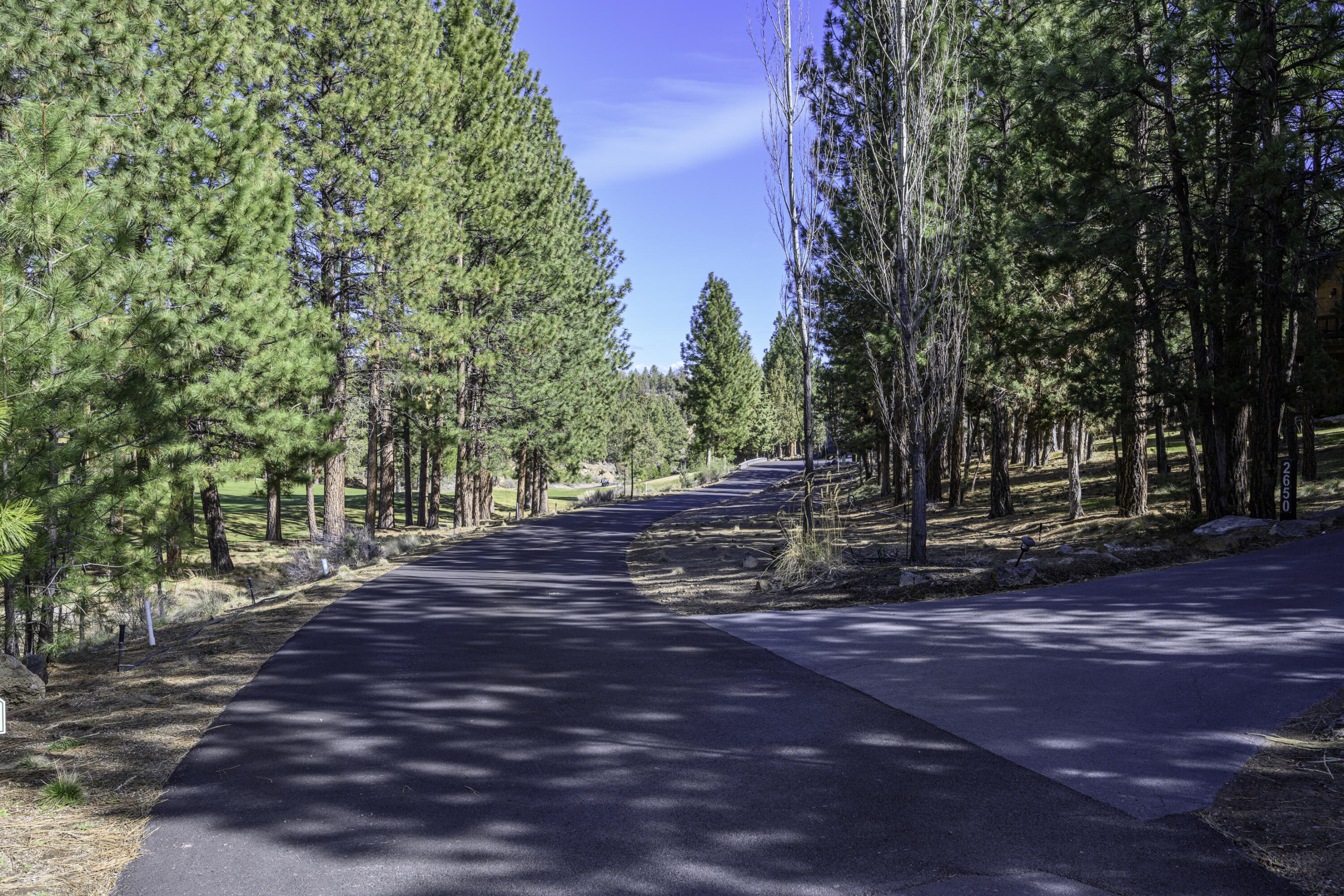 2638 NW Runyun Court